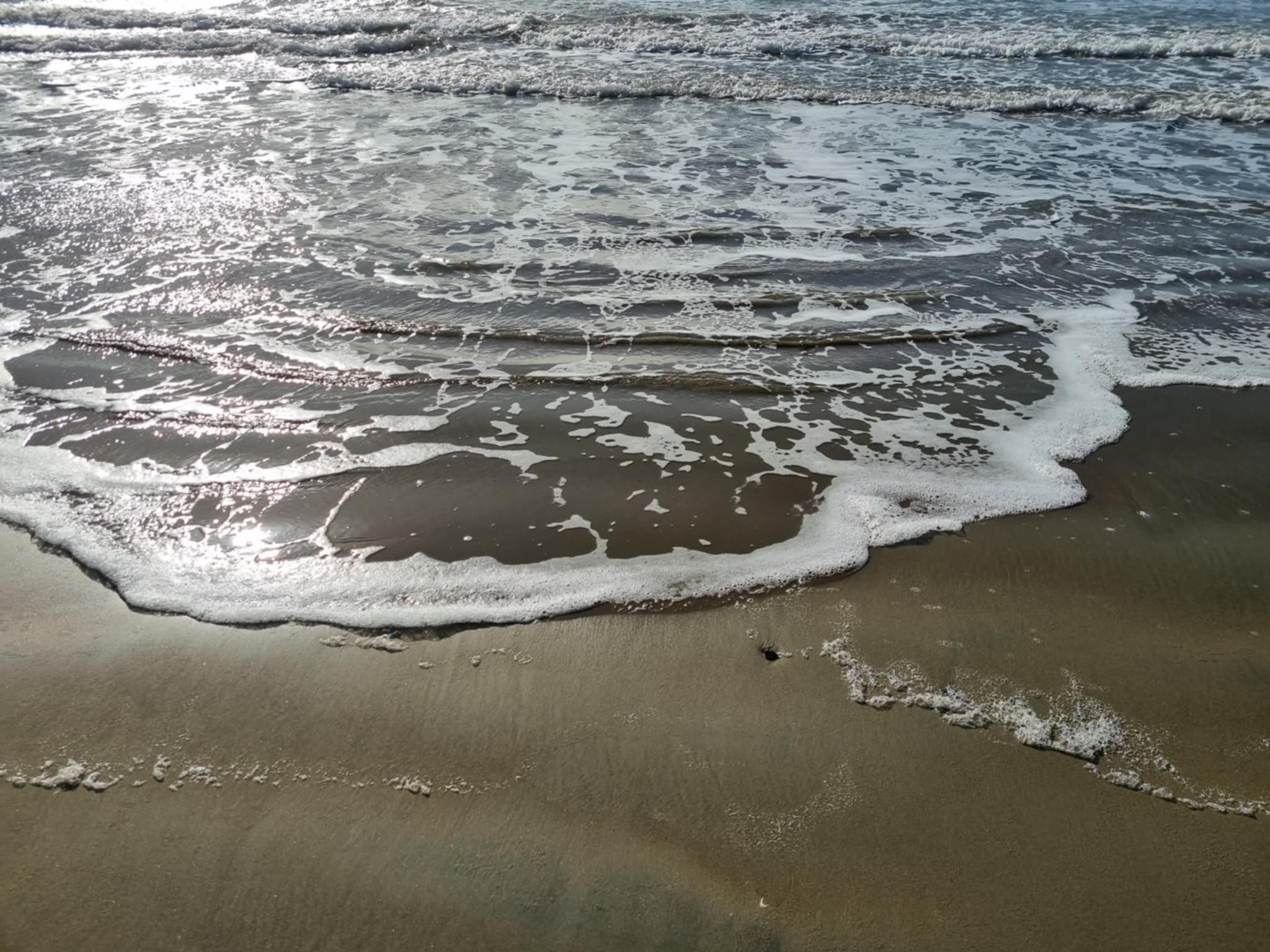 image1.jpeg